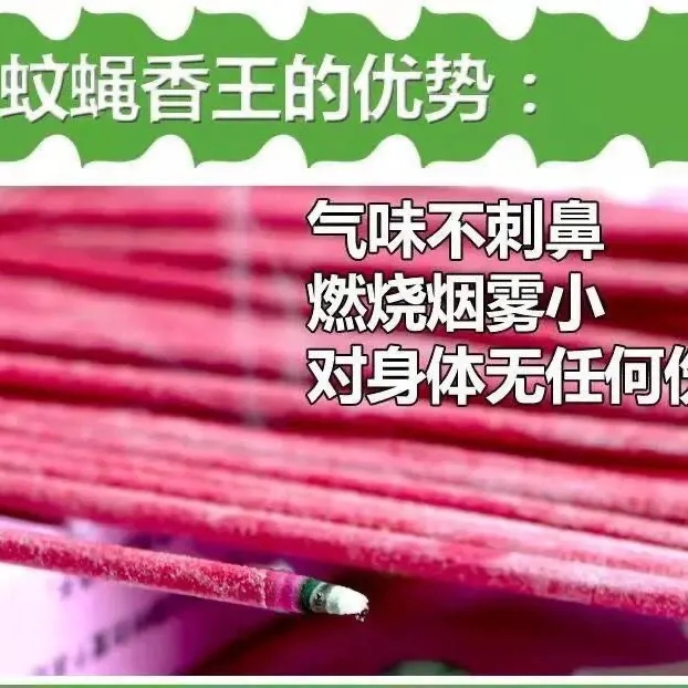 驱蚊虫神器室内户外钓鱼蚊香棒厕所餐厅家用强力灭蚊杀蝇熏文棒香 - 图2