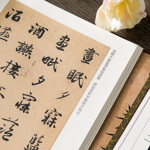 历代碑帖精粹 元 赵孟頫真草千字文 简体旁注 杜浩楷书碑帖楷书 赵孟俯行书草书毛笔字帖书法成人学生临摹练习 安徽美术出版社 - 图3