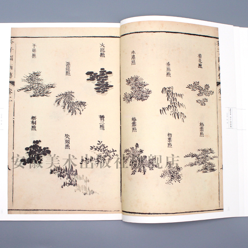 康熙原版芥子园画传山水卷 树谱 芥子园画谱自学美术国画绘画范本临摹本树法叶法夹叶及著色钩藤法临摹技法芥子园康熙版画集书 - 图2