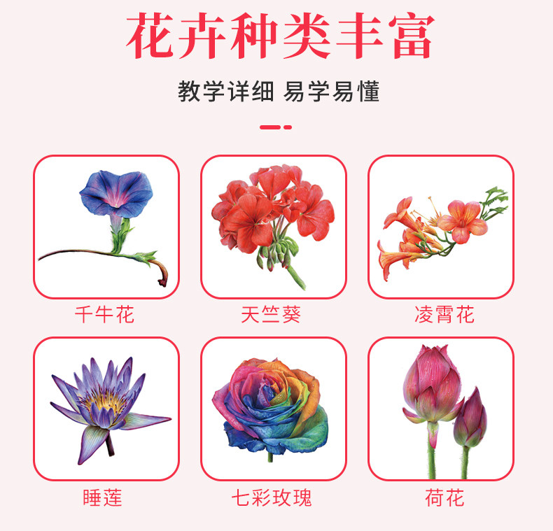 彩铅花卉基础教程一本通 2022一线绘画入门书籍教学彩色铅笔临摹零基础初学者临摹画线稿素描技法书超写实自学手绘本教材美术画册