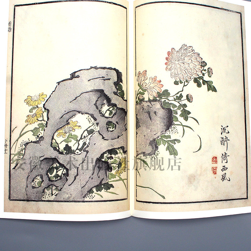 康熙原版芥子园画传花鸟卷 菊谱 康熙版芥子园画谱花鸟国画画册大学美术教材芥子园菊花技法临摹范画传统国画芥子园画集菊谱书