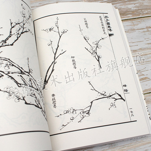 芥子园画传兰竹梅菊谱王概著安徽美术出版黑白版全集画谱国画技法入门临摹教程工艺美术成人传统绘画教程自学写意花卉国画 - 图2