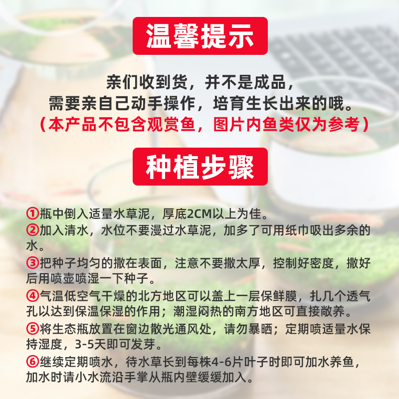 创意缸水培植物鱼缸水草种子籽懒人微景观生态瓶DIY生态鱼缸玻璃-图2