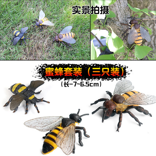 仿真动物昆虫甲虫模型蜜蜂蜘蛛蝎子蜈蚣蚂蚁玩具儿童教育认知礼物 - 图2