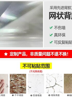墙面客厅装饰墙壁贴纸自粘卧室房间布置遮丑壁纸贴画玻璃磨砂贴膜