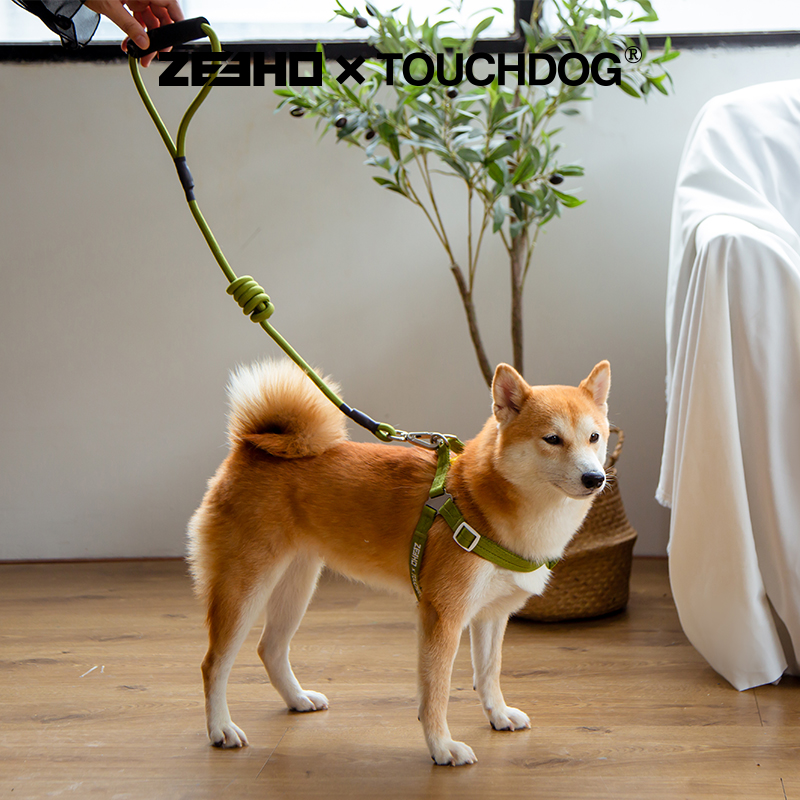 Touchdog 它它 彩虹糖系列 项圈款 狗狗牵引绳套装 120cm