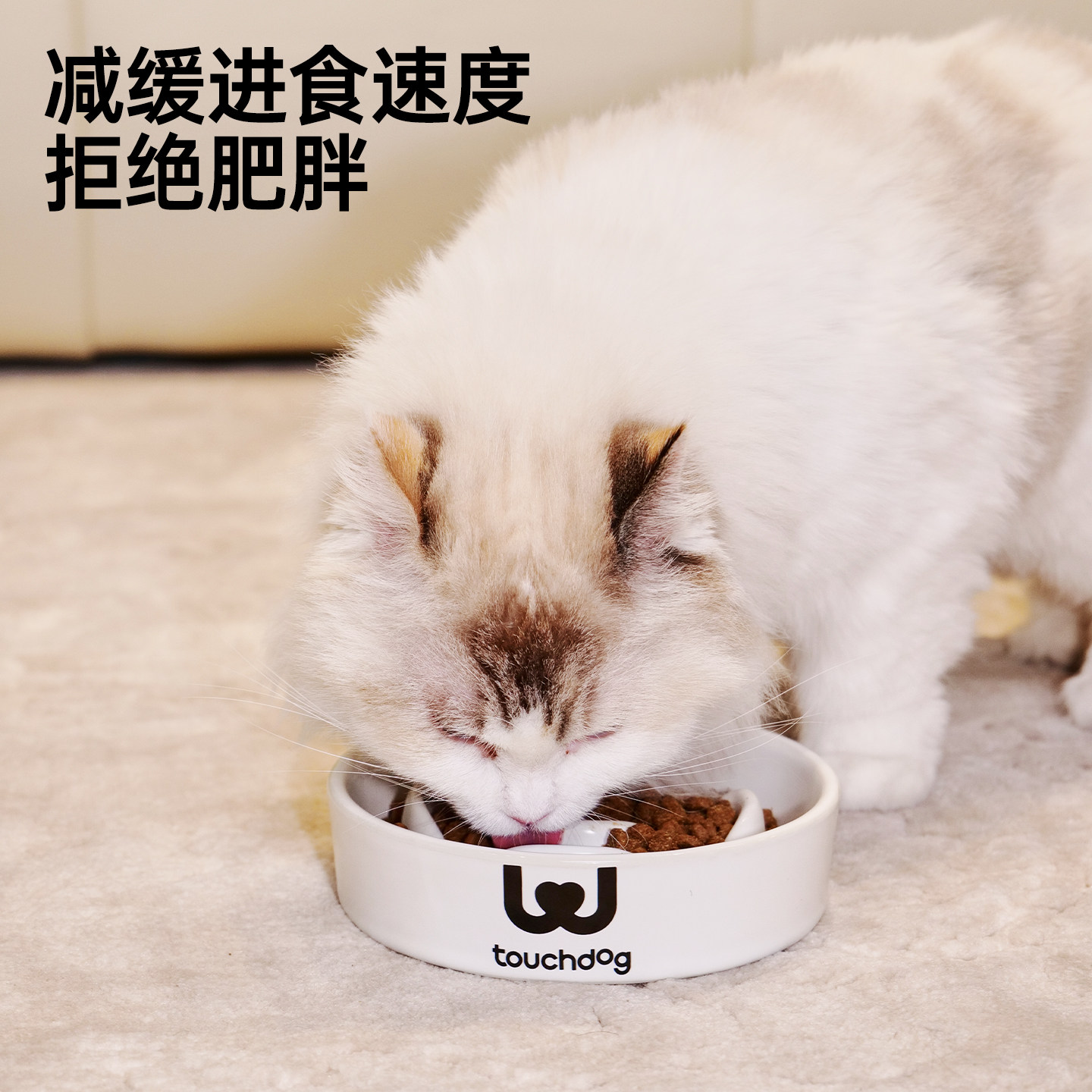 Touchdog它它宠物慢食碗防噎猫碗陶瓷狗碗防打翻猫咪饭碗狗专用碗,淘宝优惠券,粉丝福利购,淘宝优惠卷
