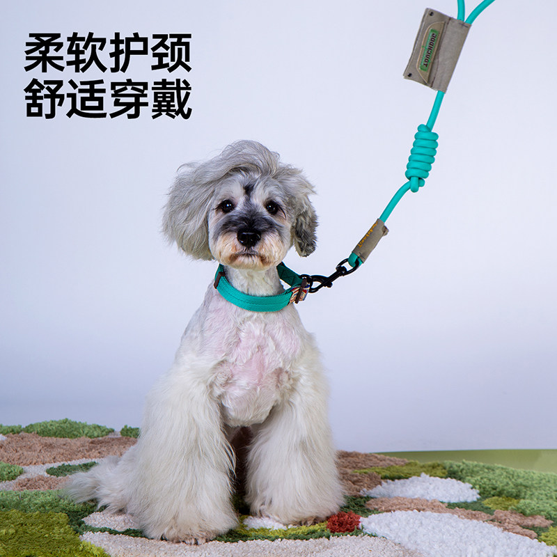 Touchdog它它狗狗牵引绳狗链狗胸背心式背带小中大型犬遛狗绳宠物,淘宝优惠券,粉丝福利购,淘宝优惠卷