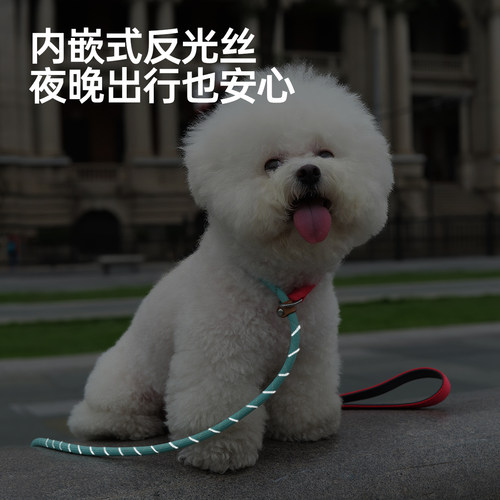 Touchdog它它狗狗P绳P链牵引绳遛狗链子大中小型犬宠物专用训狗绳 - 图3