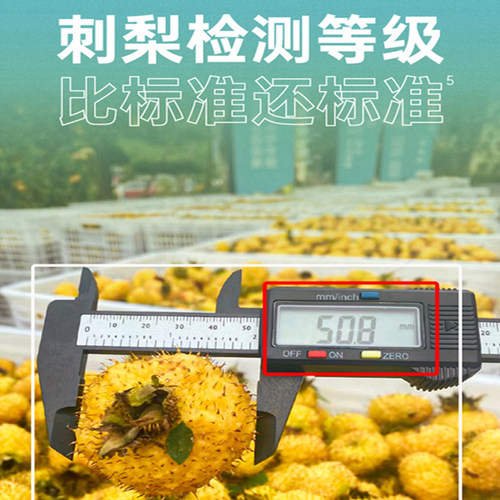 贵州山王果有机刺梨原汁含天然SOD维P维C鲜果原浆NFC原液 - 图0