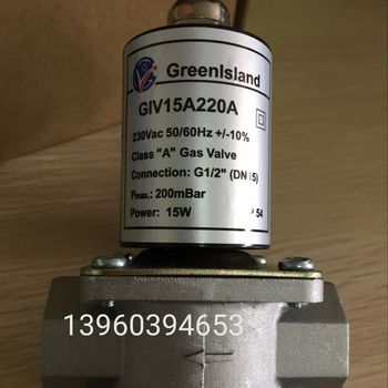 Greenisiand solenoid valve GIV10A220A/GIV15A220A, GIV65FB220A GIV25B