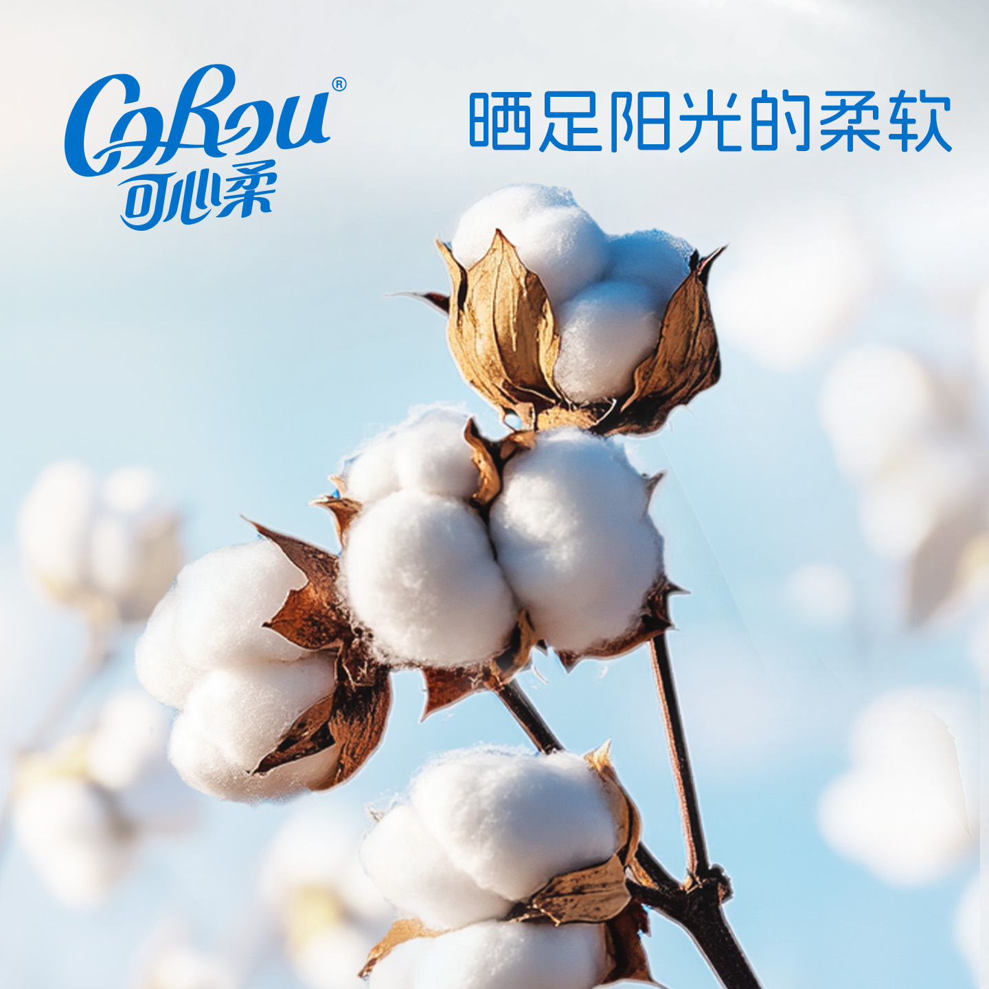 U先link 可心柔100%纯棉棉柔巾新升级加厚大尺寸20抽便携装洗脸巾 - 图0