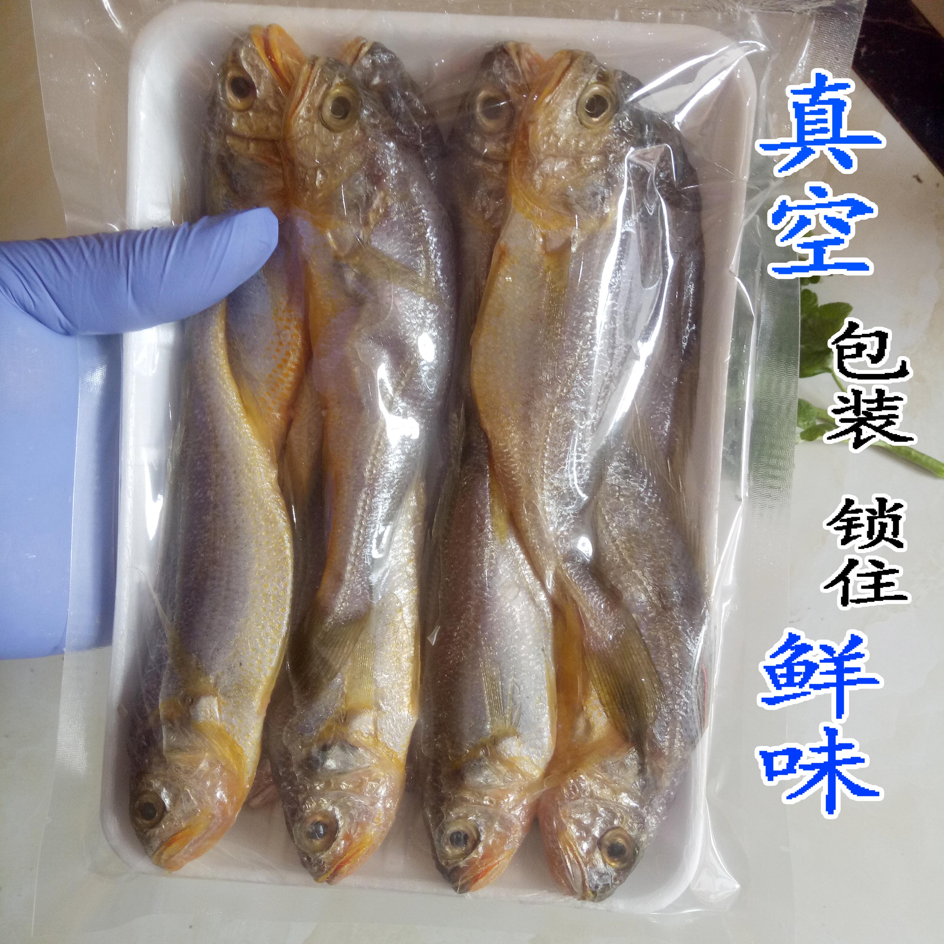 新鲜小黄花鱼12元/1斤一斤约16个 深海鱼宝宝辅食鲜活鱼海鲜水产 - 图3