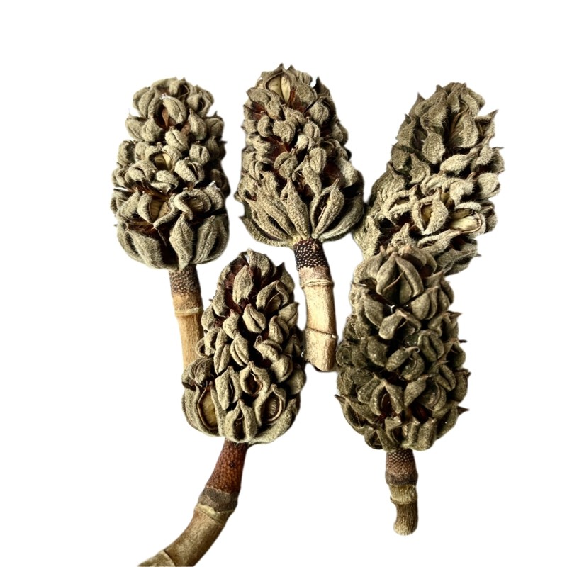 客厅干花松塔干花花束 森系DIY材料包 家居装饰摆件摄影道具标本,淘宝优惠券,粉丝福利购,淘宝优惠卷