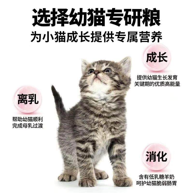 诚实一口K01 K01plus幼猫孕猫专用粮羊奶粉配方猫粮1~12个月幼猫,淘宝优惠券,粉丝福利购,淘宝优惠卷