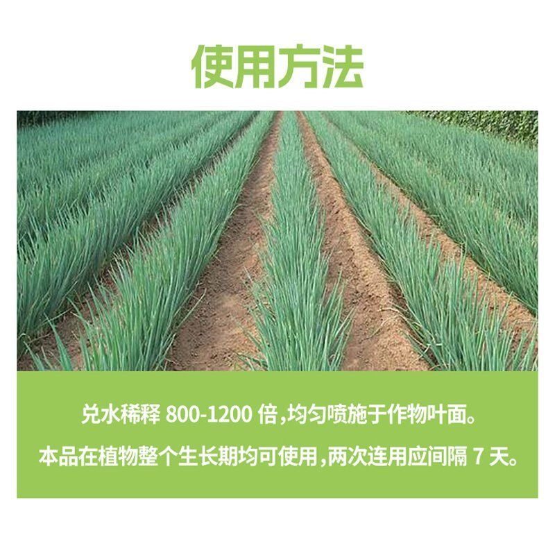 八个老头姜蒜护卫队大葱大蒜生姜微生物菌剂蔬菜植物叶面肥促生,淘宝优惠券,粉丝福利购,淘宝优惠卷