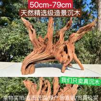 50cm-79cm Sink Wood Framing Branches Tree Stumps Turtle Sun Terrace Purple Teak Wood Tree Dongle Large Arch Bridge Pendulum decoration