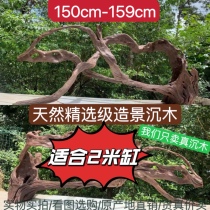 150cm-159cm boutique large sunken wood-made view branches tree stumps Purple Grapefruit Wood Tree Cave Arch Bridge Pendulum