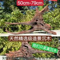 50cm-79cm Sink Wood Framing Branches Tree Stumps Turtle Sun Terrace Purple Teak Wood Tree Dongle Large Arch Bridge Pendulum decoration