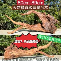80cm-89cm Boutique Sink Wood Construction Branches Tree Stumps Sundae Purple Teak Wood Tree Dongle Large Arch Bridge Pendulum decoration