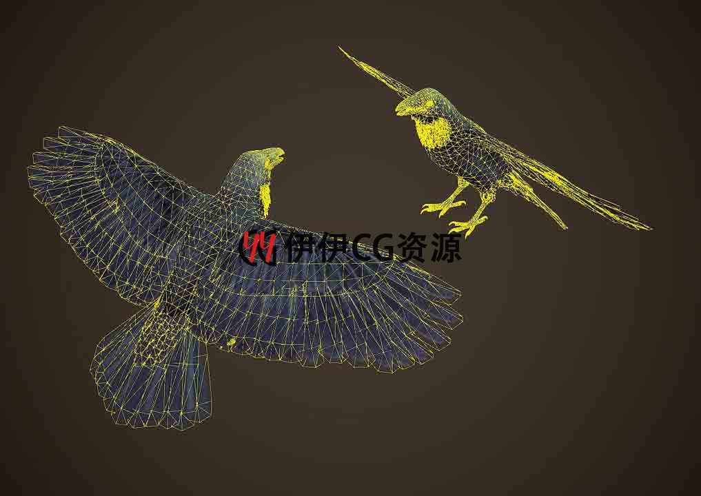 3DMax动物模型3D模型乌鸦Crow鸟类飞禽野生动物FBX动画文件乌鸦 - 图1