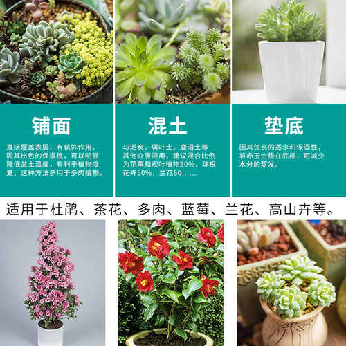 日本进口硬质赤玉土三本线小颗粒盆景专用爬宠铺面纯赤玉土大包装 - 图1