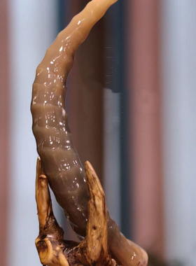 高雅书桌羚羊高端中式风