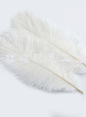 彩色鸵鸟毛30-35cm多色直发