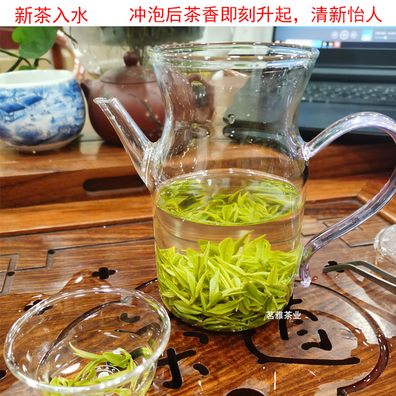 安吉白茶2024年新茶明前特级安吉白茶茶叶正宗散装250g珍稀高山绿