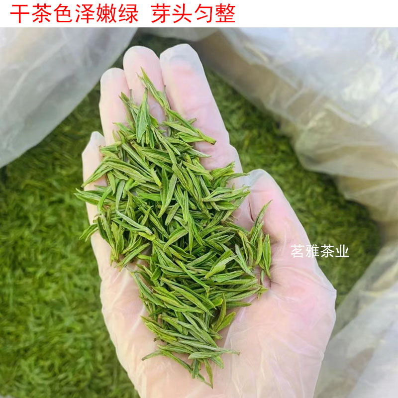 安吉白茶2024年新茶明前特级安吉白茶茶叶正宗散装250g珍稀高山绿