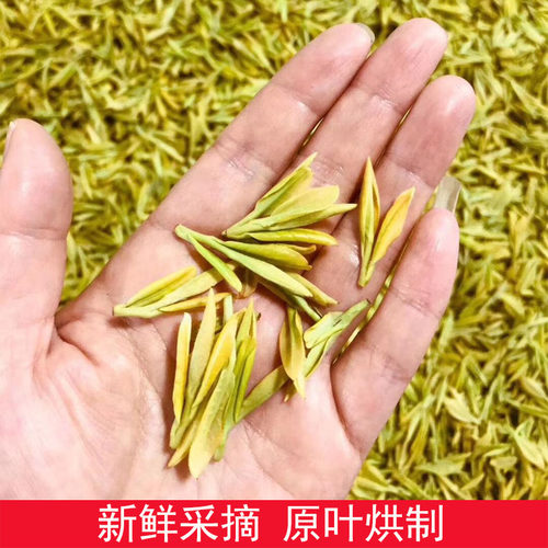 安吉正宗2026年新茶明前特级黄金芽白茶正宗散装250g珍稀高山绿茶 - 图1