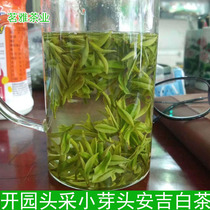 Spot Anji White Tea Spring Tea Bulk Bright Front Special Class 2023 New Tea Leaves 250g Rare Green Tea Sprout Tips