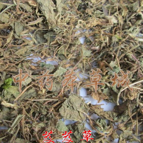 中草药芨芨草500g积机草席萁草枳芨草牛筋草棘棘草两斤包邮另有粉 - 图3