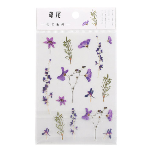 透明PET贴纸防水保温杯子小清新花朵植物手帐diy相册装饰素材贴画 - 图3
