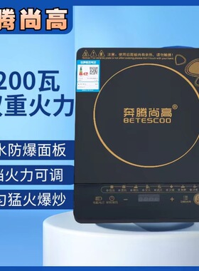 多功能奔腾尚高触摸电磁炉家用2200W大功率爆炒定时火锅电池炉灶