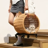 Портативный чемодан для выхода на улицу, сумка для путешествий, защитная сумка