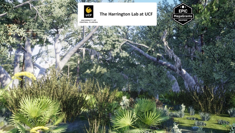 Xeric Hammock Habitat Brush 干旱树木灌木林虚幻5UE5 UE5.3 - 图1