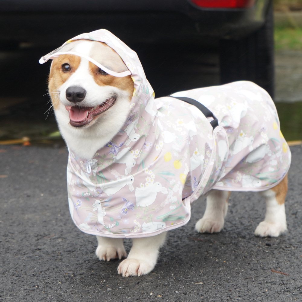 宠物狗狗雨衣卡通雨披防水防脏斗篷柴犬泰迪秋田犬柯基中型犬肚兜 - 图2