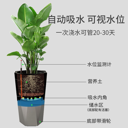 自吸水大号花盆网红天堂鸟家用客厅高级感菱形树脂落地北欧储水盆 - 图0