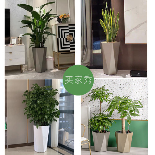 自吸水大号花盆网红天堂鸟家用客厅高级感菱形树脂落地北欧储水盆 - 图2