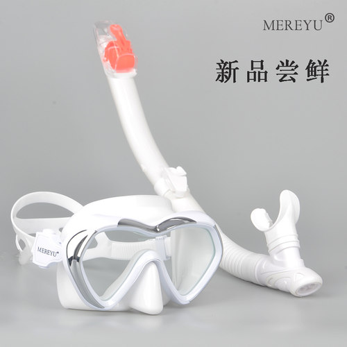 潜水镜呼吸管套装浮潜三宝面罩面镜装备全套防雾近视潜水呼吸器 - 图2