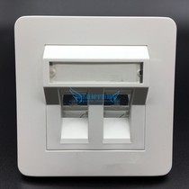 Full new Inform double-mouth pitched panel thickened double-port panel Double-hole network Module Phone Module Panel