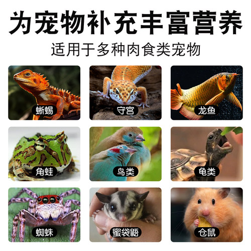 面包虫活虫黄粉虫活体活食物宠物零食鹦鹉鸟饲料虫仓鼠龙鱼乌龟粮 - 图2