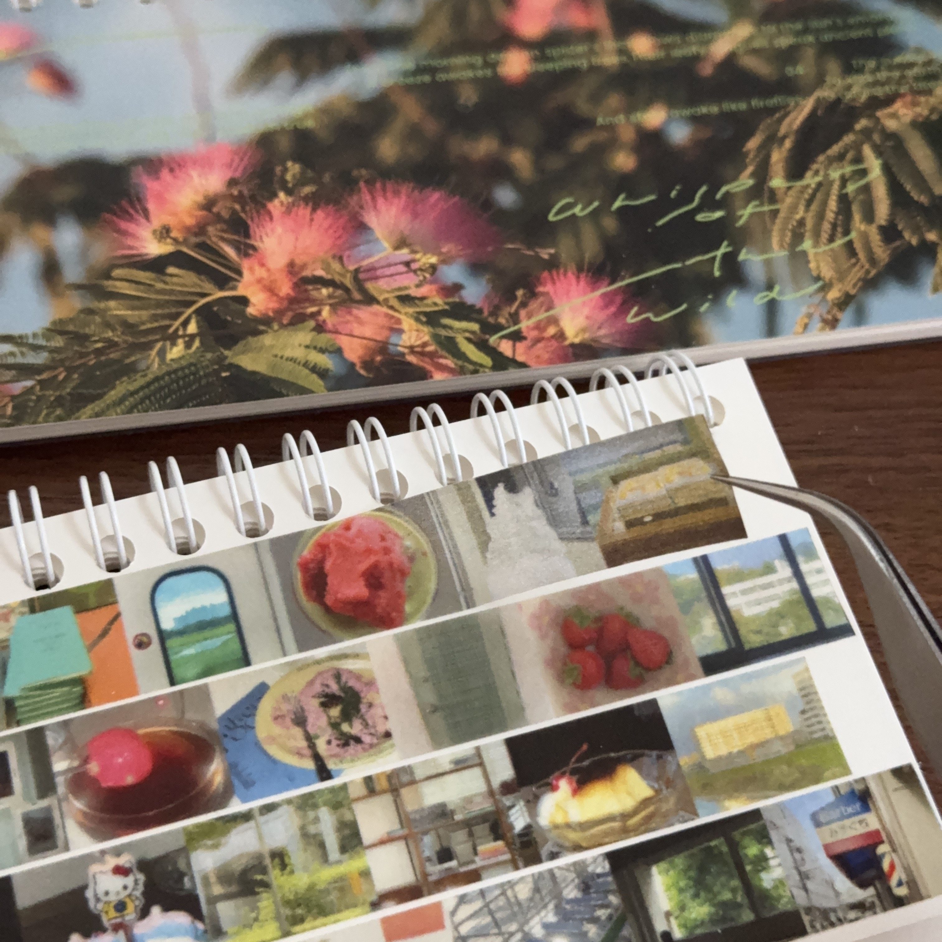 【小岛原创】浮光岛屿 A5half离型纸本胶带贴纸便携收纳手帐工具,淘宝优惠券,粉丝福利购,淘宝优惠卷