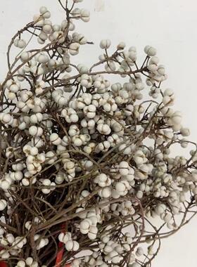 小白果长杆 干花乌柏果白豆真花北欧小清新家居装饰花束花环装饰