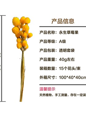 红色草莓果干花千日红永生花开心花家居装饰搭配花束配花云南跨境