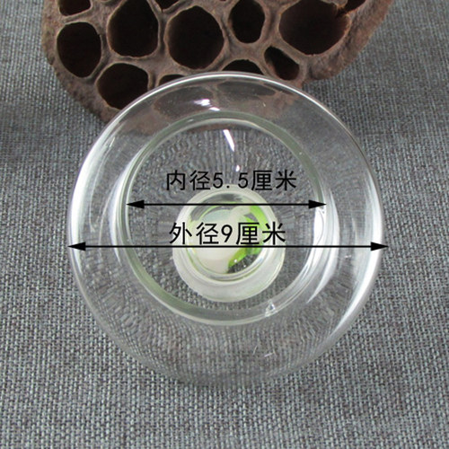 原厂正稻陶然快速壶专用盖子电热茶炉美祺善而美耐热玻璃壶青蛙盖 - 图0