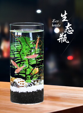 简约高硼硅玻璃高透生态缸花瓶
