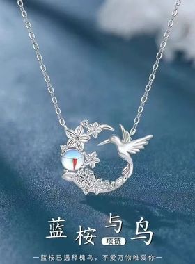 新款桉树遇鸟项链女小众高级感锁骨链闺蜜女友学生钛钢不掉色