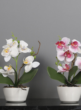 豪布斯卡陶瓷绢布美观中式客厅